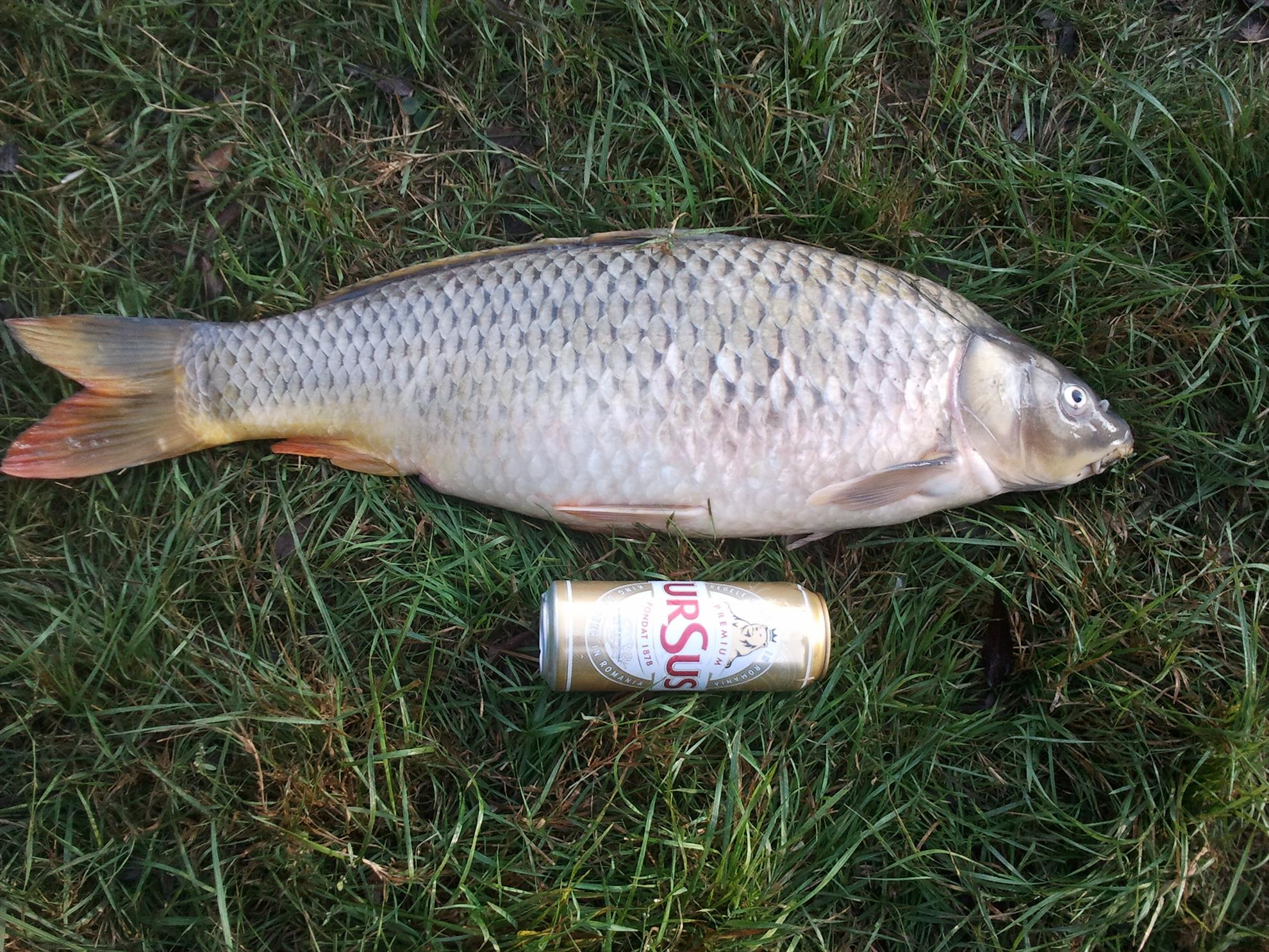 Delta 2012 - 2012-09-30-083629.jpg